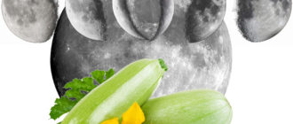 Луната и нейното влияние