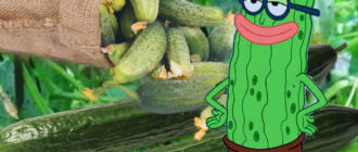 Краставици