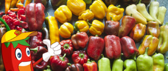 Най-добрите сортове пипер