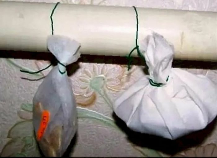 Семена в торбичка