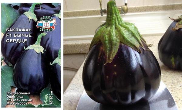 Семена и плодове от сорта „Биково сърце“