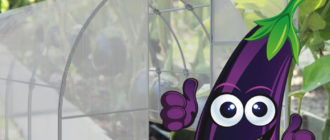 Патладжан и оранжерия