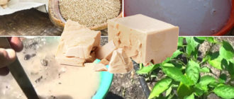 Мая за хранене