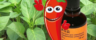 Чушки и йод