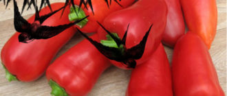 Пълстовица с пипер