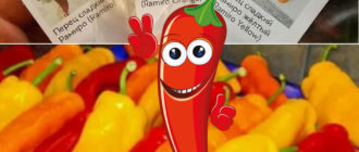 Три вида чушки Рамиро