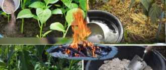 Приложение на пепел