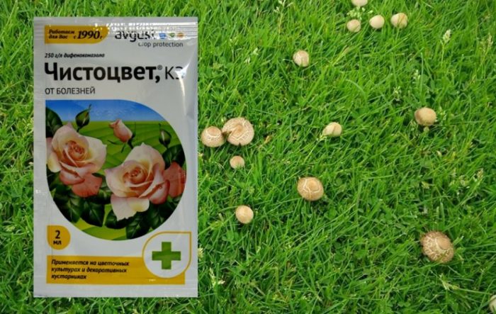 Употреба на фунгициди