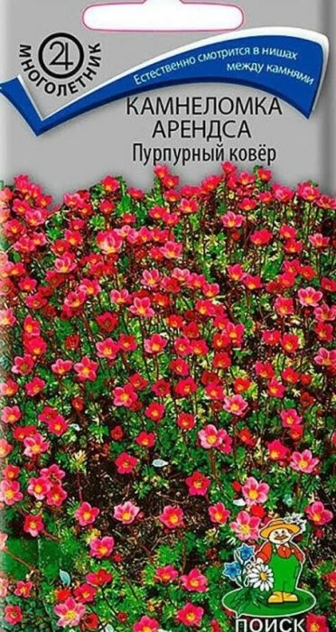 Семена от търсенето