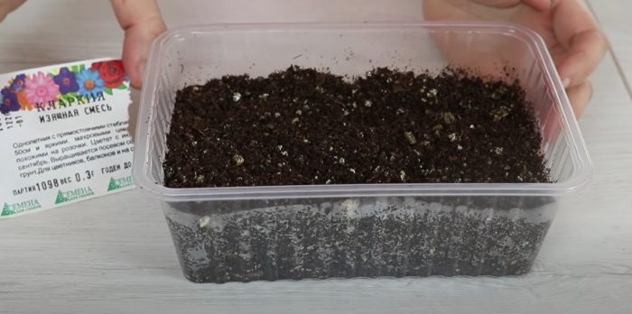 Σπορά κλαρκίας