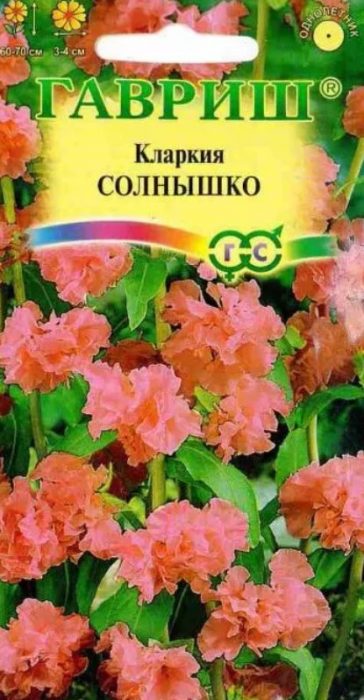 Ποικιλία Solnyshko