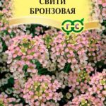 Бронзова сладурана