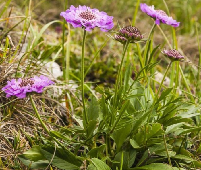 Η θέα είναι υπέροχη