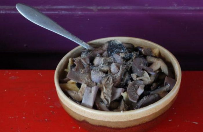 Говорещи в тиган