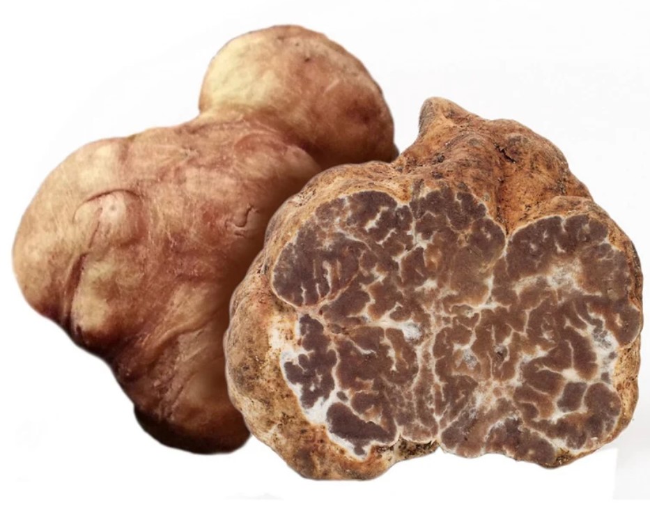 Как изглежда трюфел бианкето?