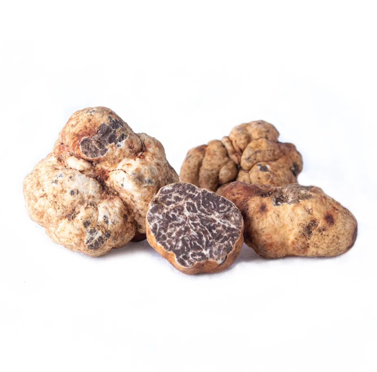 Трюфел Бианчето