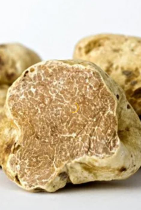 Охра трюфел