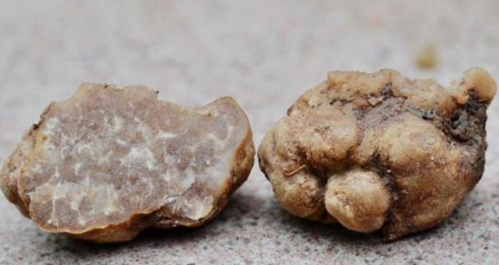 Потопени трюфели