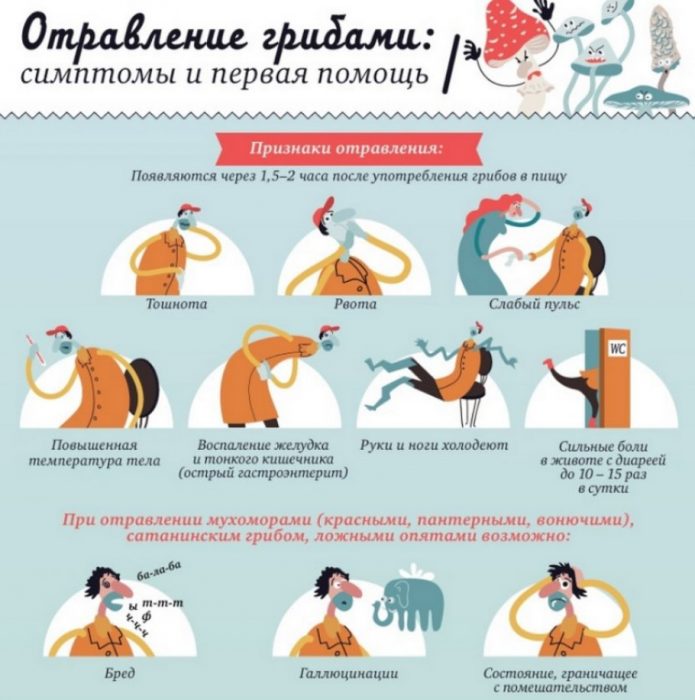 Отравяне с гъби