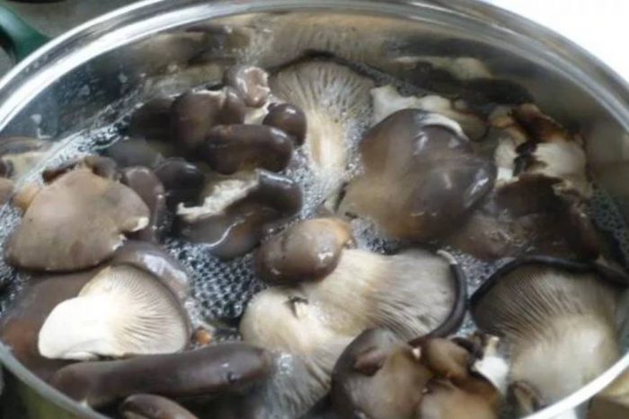 Варени кладници