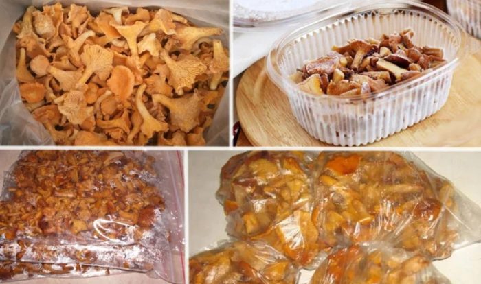 Съхранение на пачи крак