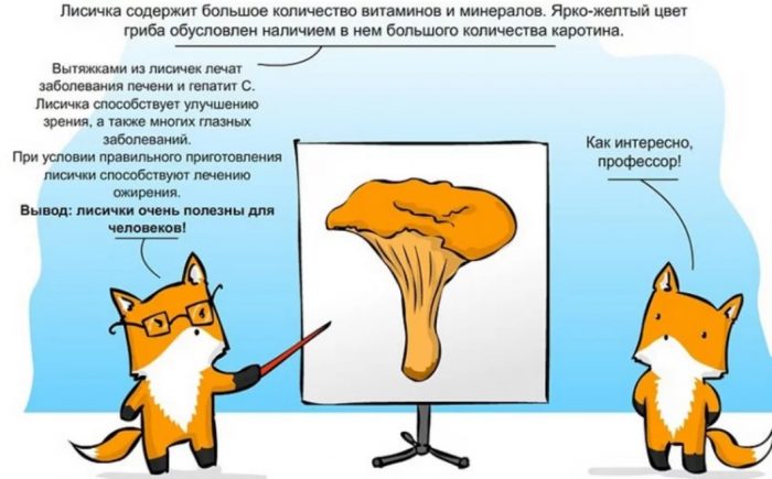 Ползи от пачи крак