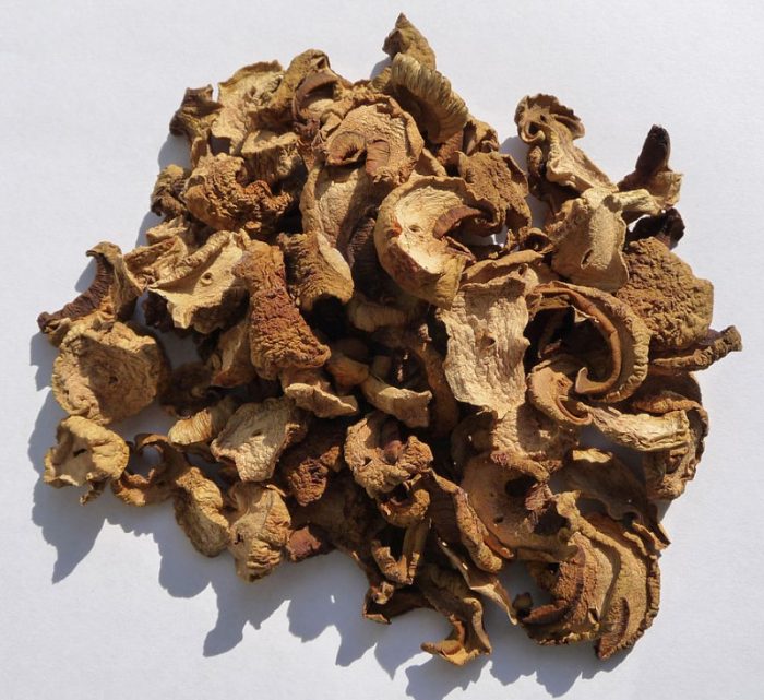 Сушени полубели гъби Пържени полу-мангари