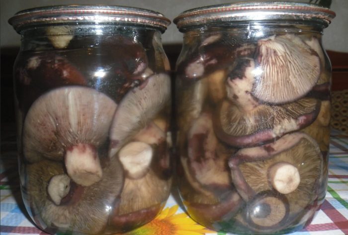 Мариновани млечни гъби