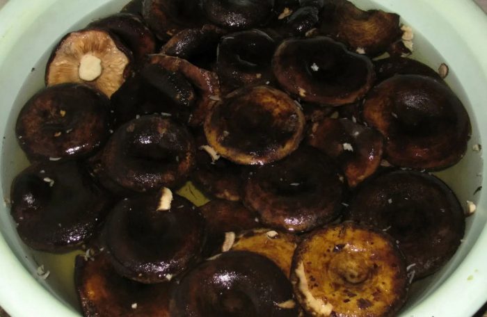 Как да измием млечни гъби