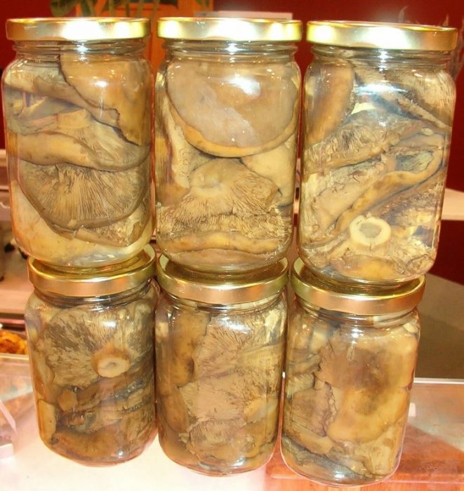 Солени млечни гъби