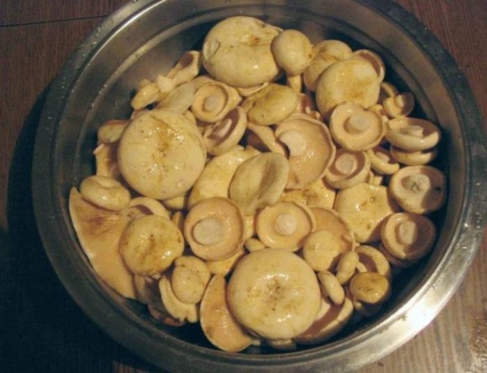 Почистете млечните гъби