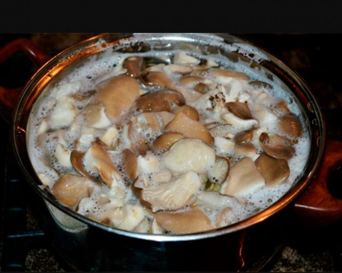 Готвене на млечни гъби в тенджера