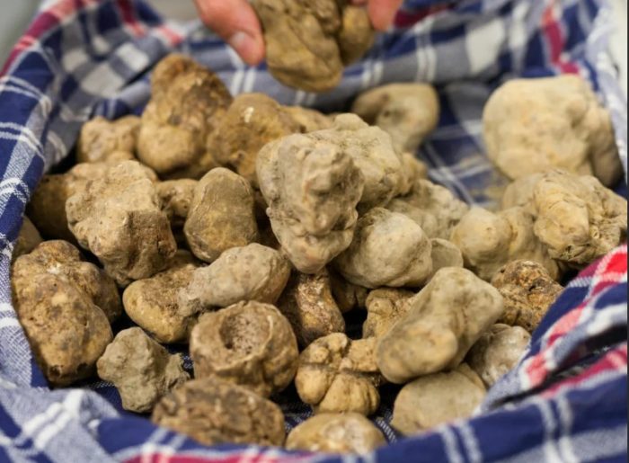 Чист бял трюфел Чист бял трюфел