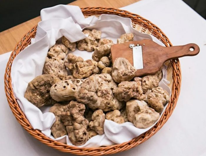 Ястие с бял трюфел Бял трюфел на чиния