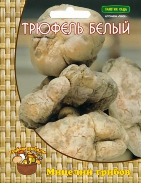 Мицел от бял трюфел Мицел от бял трюфел