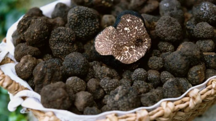 Ползи от трюфелите
