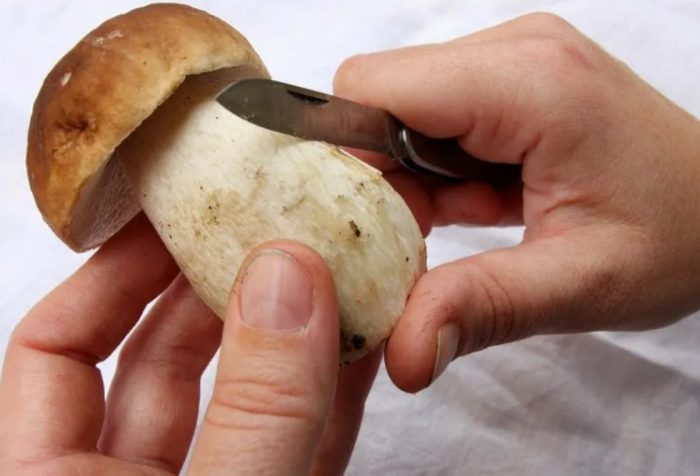 Как да почистите гъби порчини