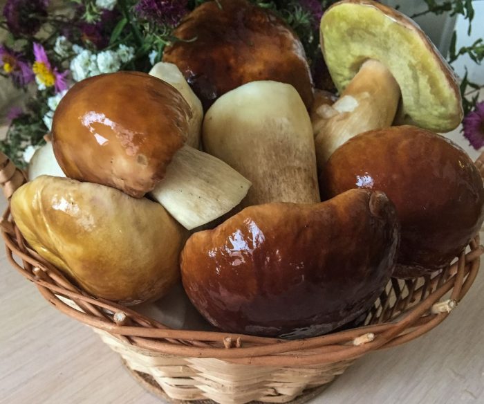 Измити манатарки