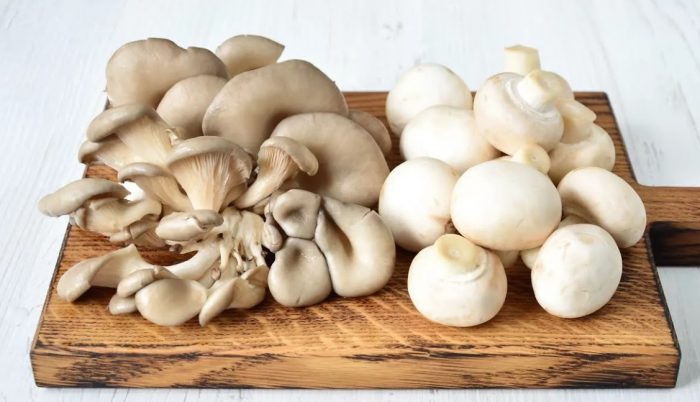 Измити кладници и печурки