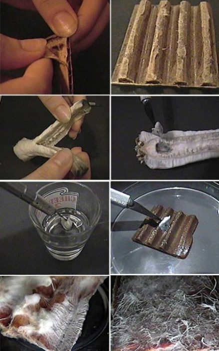 Култивиране на картонен мицел Мицел върху картон