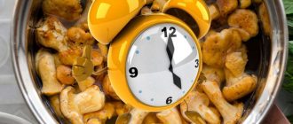 Колко време се готвят пачи крак?