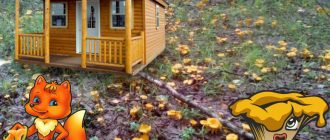 Пачи крак на вилата