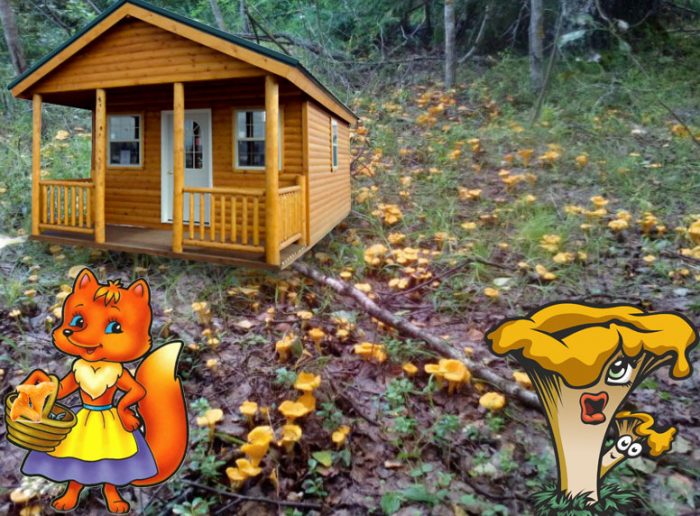 Пачи крак на вилата