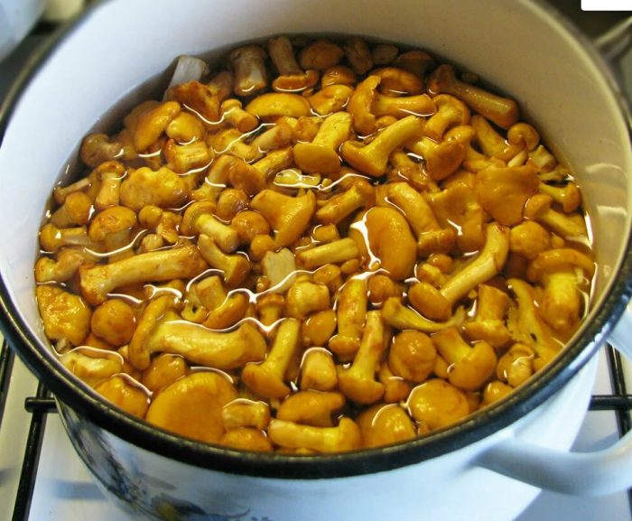 Готвене на пачи крак в тенджера