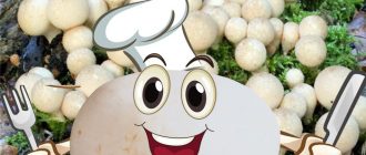 Ядлива пуфка