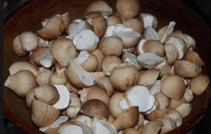 Събрани дъждобрани