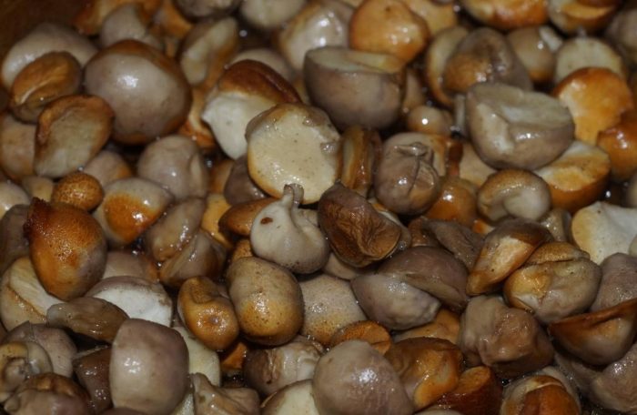 Пържени пухкави топчета