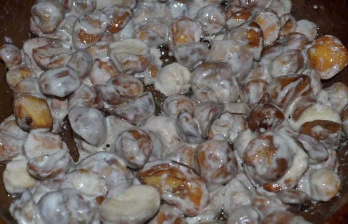 Дъждобрани в заквасена сметана