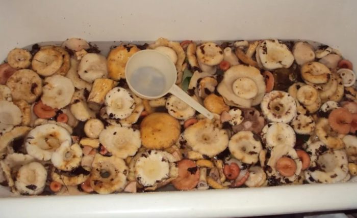 Млечни гъби във ваната