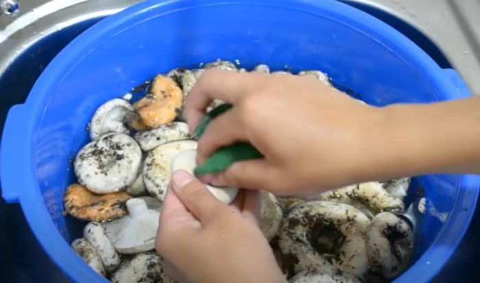 Как да измием млечни гъби